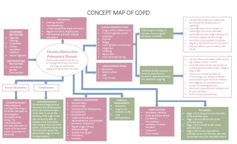 Chronic Obstructive Pulmonary Disease Copd Gas Exchange Concept Map