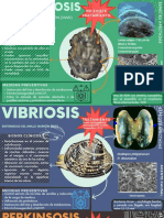 Enfermedades de moluscos- infografía
