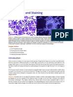 1-Microscopy and Staining.pdf
