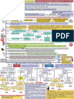 Esquema Procedimiento Administrativo Comun PDF