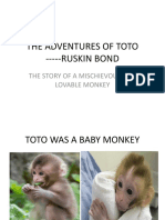 The Adventures of Toto