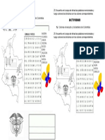 ACTIVIDAD Simbolos Patrios