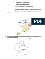 Taller Final SB