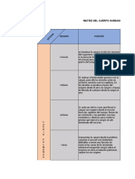 Matriz Del Cuerpo Humano