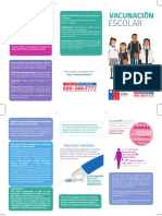 Triptico Vacunacion 2020 PDF