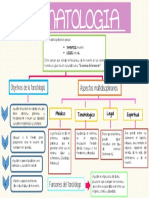 Mapa conceptual tanatologia