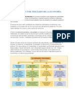 Clase. SECTOR TERCIARIO DE LA ECONOMÍA