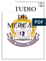 ESTUDIO MERCADO Y TECNICO.docx