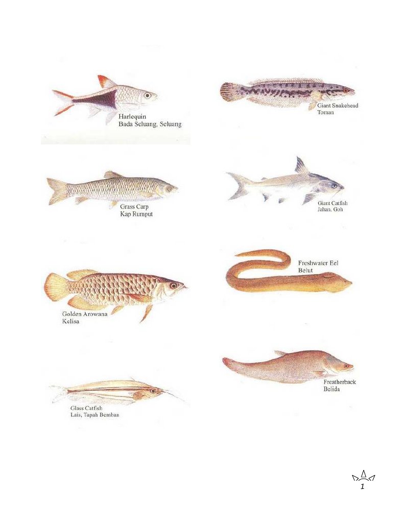 Ikan Air Tawar Di Malaysia