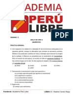 Semana 11. Siglo de Oro Ii (Barroco) : Práctica Dirigida