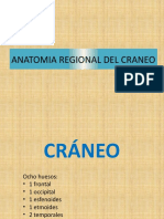 CRÁNEO