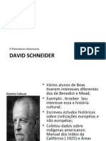 O Parentesco Americano de Schneider e a Redefinição do Conceito