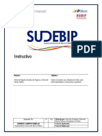 Saf - Instructivo para La Ficha de Registro de Datos - SUDEBIP PDF