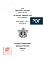 Il PDF