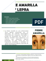 Fiebre Amarilla y Lepra PDF Sintesis