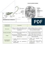 CÉLULAtaller de Estructura Celular 6º