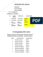 Cronograma de Actividades y Encuentros Sincronicos 041