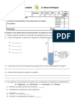 Fichaw Circulatório