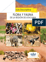 Flora y fauna de Atacama