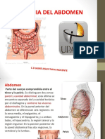 ABDOMEN FINAL MUSCULOS ABDOMINALES (Autoguardado)