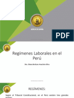 Regimenes Laborales