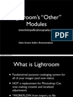 Lightroom's "Other" Modules