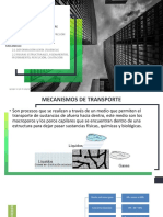 Mecanismos de transporte - Edificaciones