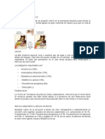 Especialidades_ otorrinolaringologia