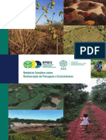 Relatorio Temático sobre - Restauração de Paisagens e Ecossistemas - BPBES 2019 80p.pdf