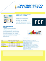 Diagnostico Presupuestal