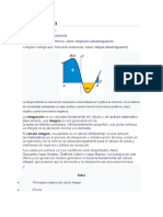 Trabajo de Proyecto Sobre Integrales