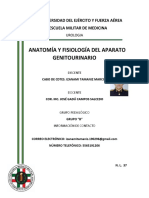 Anatomia Del Sistema Geintourinario PDF