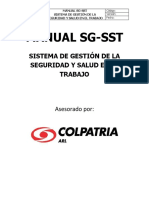 MANUAL_SG-SST.docx