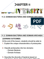 Bacteria and Archaea Domains Explained