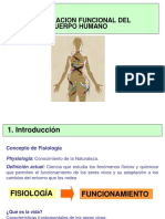 Niveles de organización.pdf