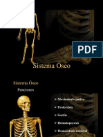 sistema-oseo.pdf