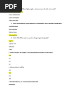 DNA Mutations Lab Answer Key | PDF | Genetic Code | Point Mutation