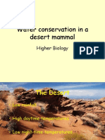 Water Conservation in A Desert Mammal