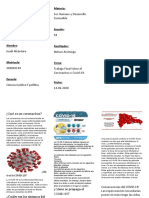 Trabajo Final Qué Es Un Coronavirus