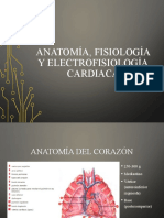 Anatomía, fisiología y electrofisiología cardíaca