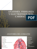 Clase EKG