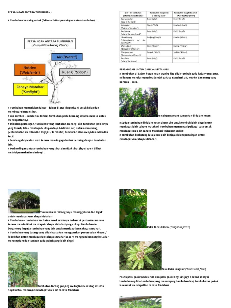 Persaingan Antara Tumbuhan Pdf