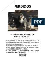 Presentación1 PDF