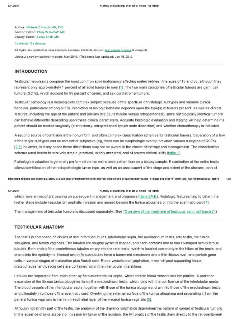 Anatomy and Pathology of Testicular Tumors UpToDate PDF