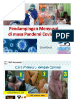 Mendampingi Menyusui Saat Pandemic Covid 19 RS Bunda 29 - 8-2020