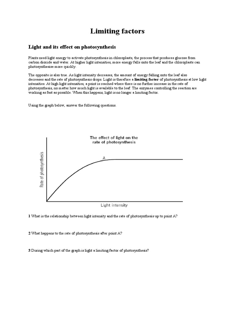 Limiting Factors Graphs | PDF | Photosynthesis | Chemistry