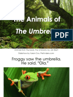 Animals of the umbrella (portuguese)