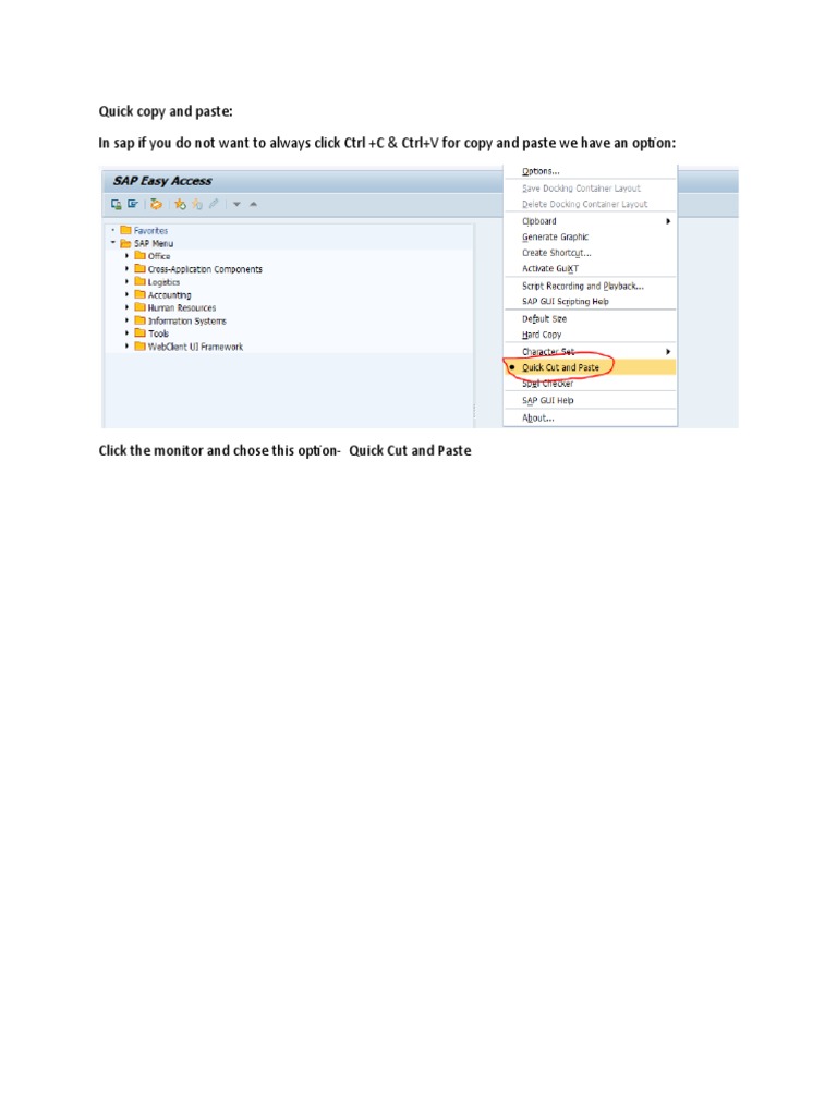 Quick Copy and Paste: in Sap If You Do Not Want To Always Click CTRL +C ...