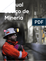 Manual Básico de Mineria