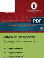 ORIGEN Insectos PDF
